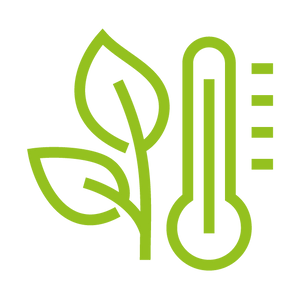 Low Emissions & Efficiency